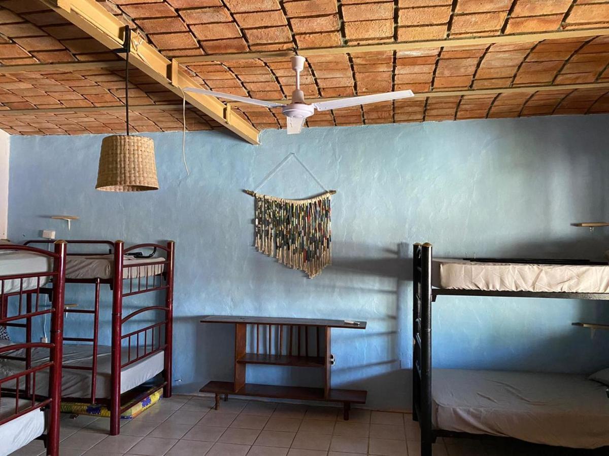 بيت شباب Blue Pepper Beds سايوليتا المظهر الخارجي الصورة