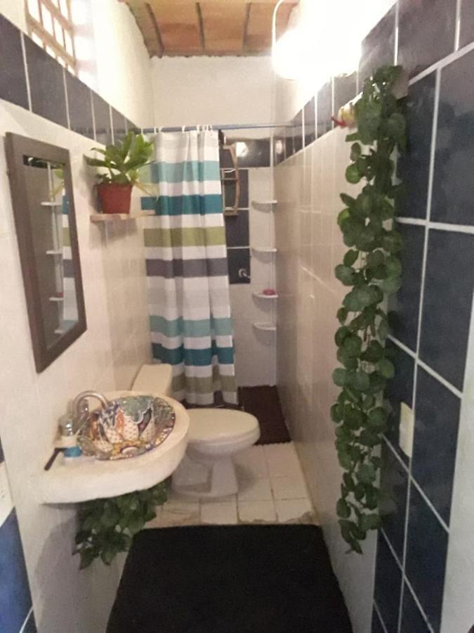 بيت شباب Blue Pepper Beds سايوليتا المظهر الخارجي الصورة