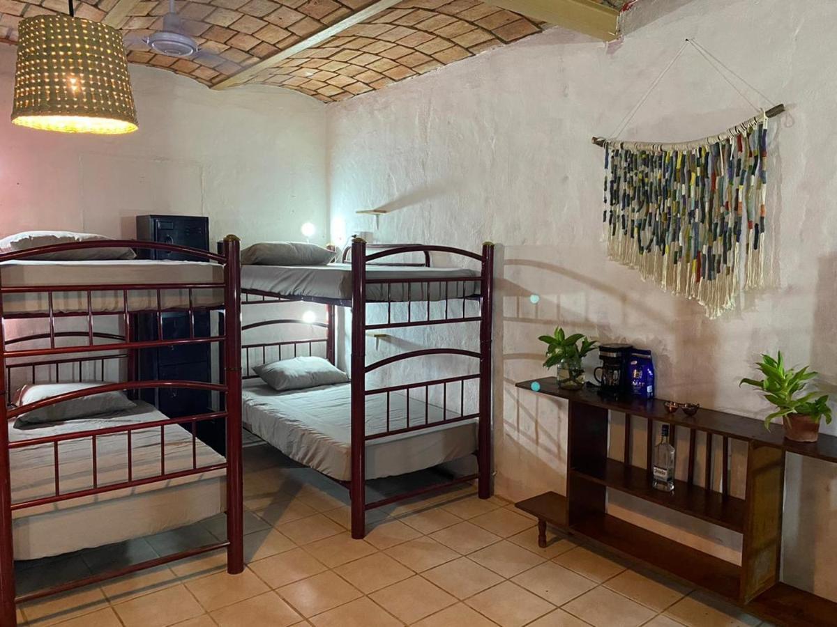 بيت شباب Blue Pepper Beds سايوليتا المظهر الخارجي الصورة