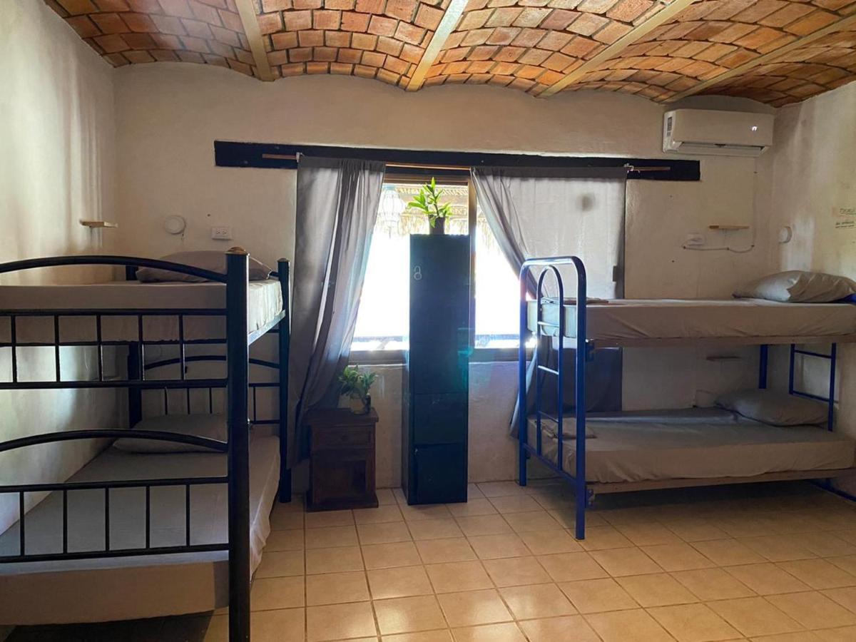 بيت شباب Blue Pepper Beds سايوليتا المظهر الخارجي الصورة