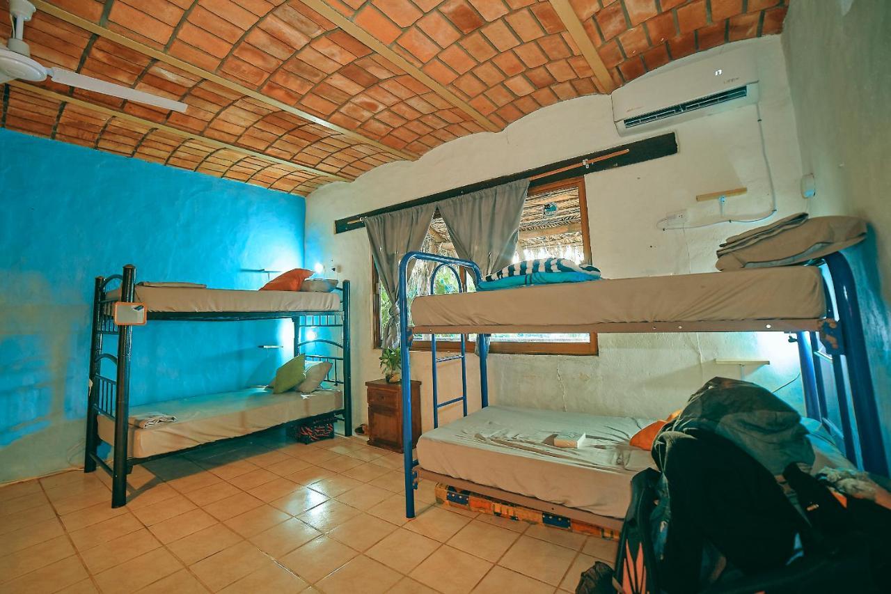 بيت شباب Blue Pepper Beds سايوليتا المظهر الخارجي الصورة